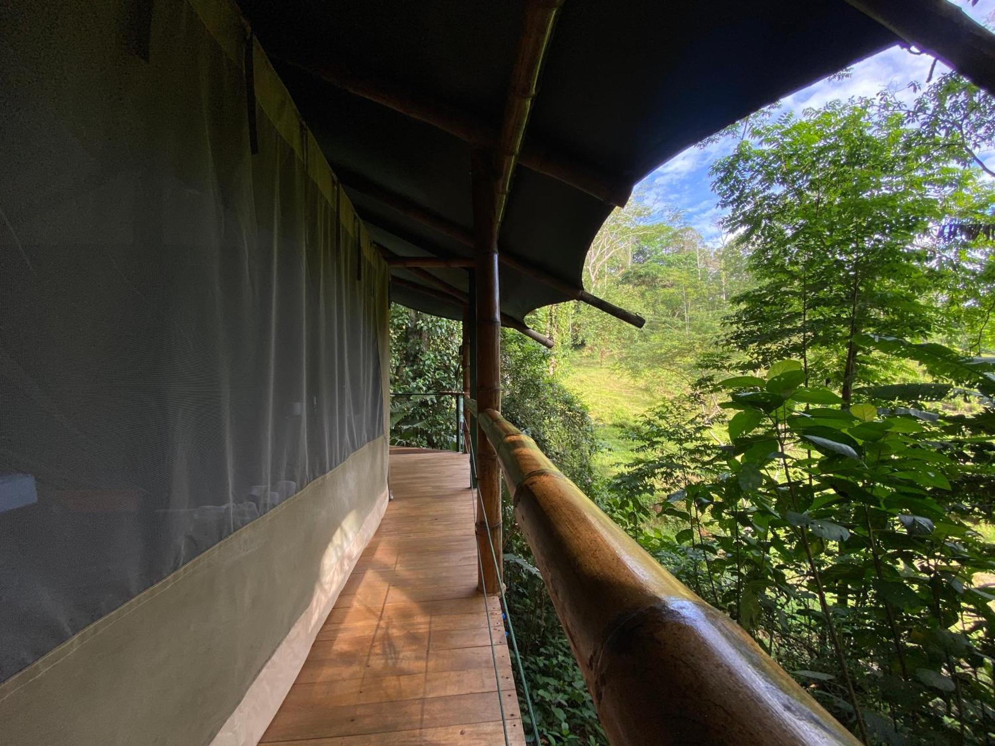 Colina Secreta - Glamping And Villas Puerto Viejo de Talamanca 外观 照片