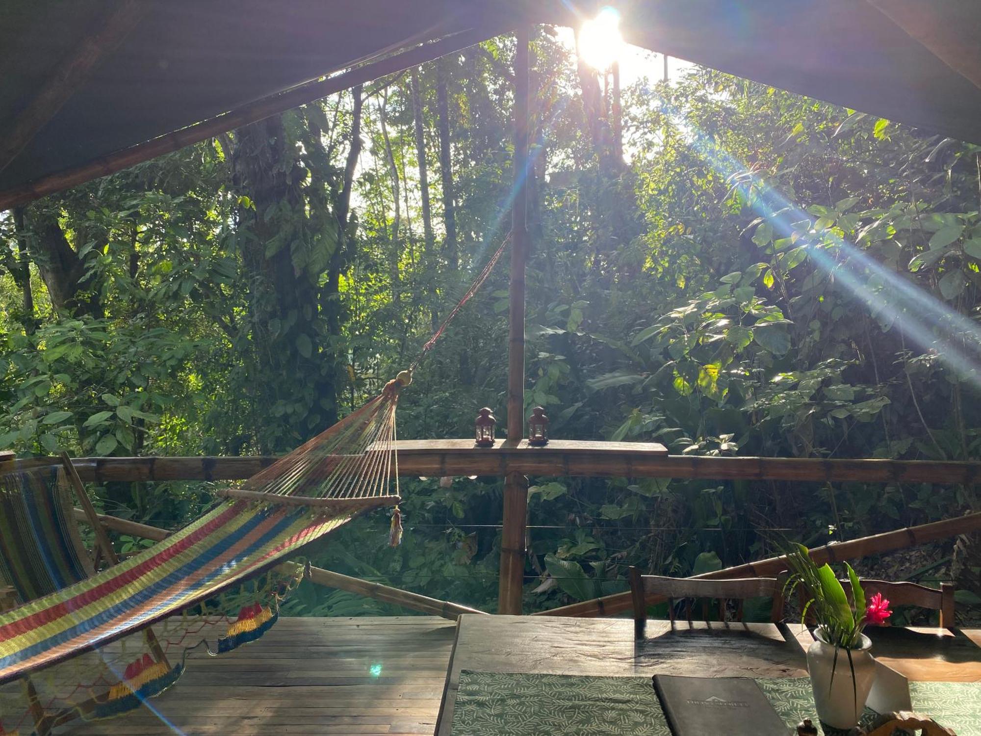 Colina Secreta - Glamping And Villas Puerto Viejo de Talamanca 外观 照片